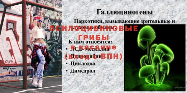 соль ск Алексин