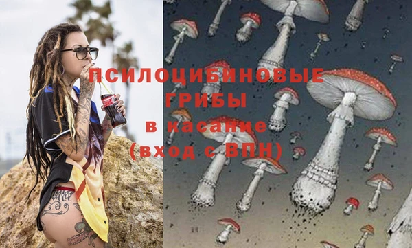 PSILOCYBIN Алзамай