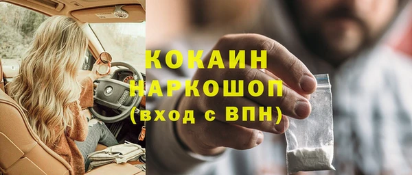 PSILOCYBIN Алзамай