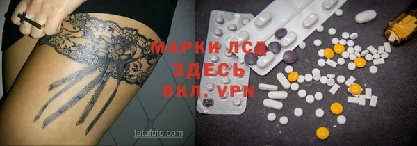 PSILOCYBIN Алзамай