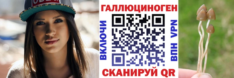 купить Ржев Галлюциногенные грибы MAGIC MUSHROOMS